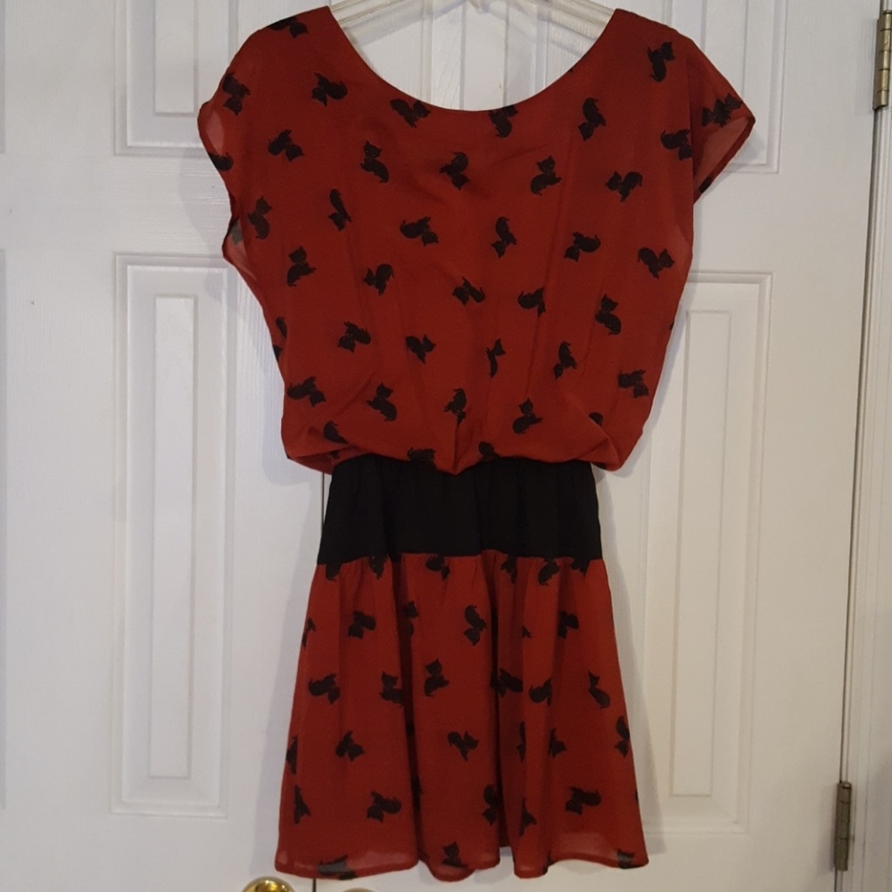 Kitty Dress/Tunic
